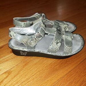 ALEGRIA snakeskin print leather Slingback Sandals